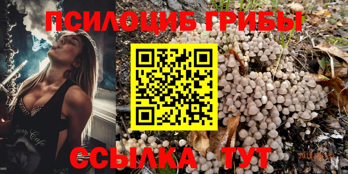 Галлюциногенные грибы прущие грибы Грязи