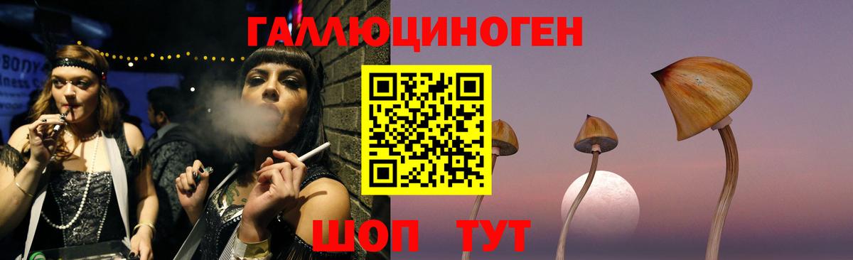 Грязи  Псилоцибиновые грибы Psilocybe  Вход с VPN  Псилоцибиновые грибы мицелий 