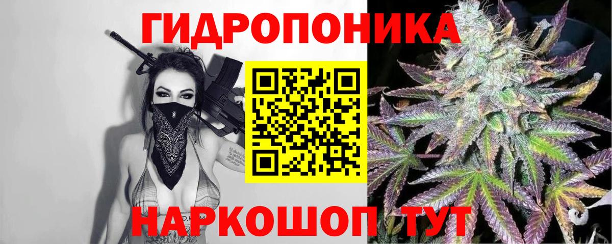 Бошки марихуана планчик  Канабис марихуана  Грязи  Вход с VPN  Канабис LSD WEED 